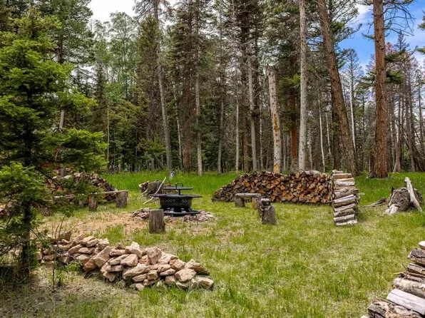 601 Balsam Road, Cimarron, CO 81220