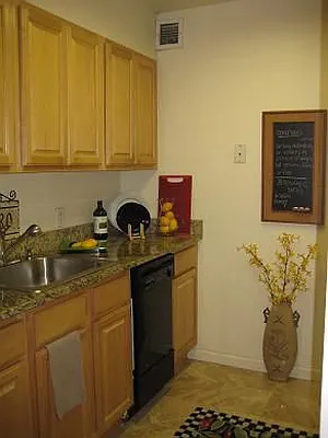 Rented by Mont Sky Real Estate | media 20