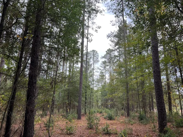 0 Honeysuckle Trl #5, Salley, SC 29137