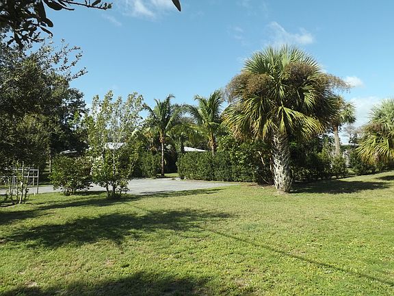 Large yard