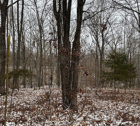 5th image of 16 Saxilby Ln