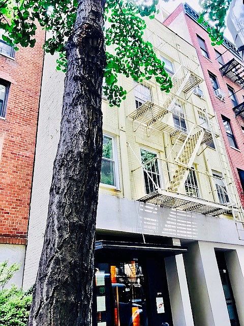 1st image of 308 E 49th St APT 1D