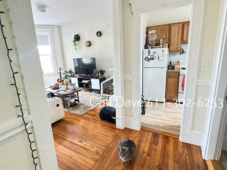 1377 Commonwealth Ave #A — Photo 12