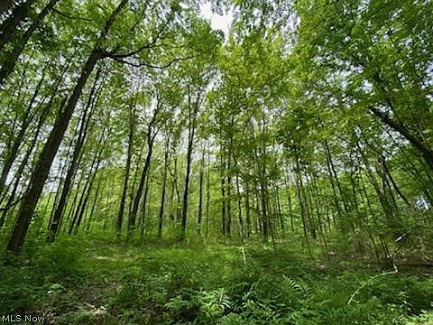 5th image of 7800 Viewmount Dr