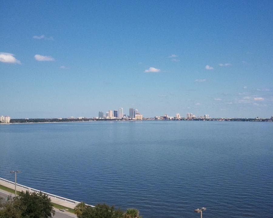 1st image of 4015 Bayshore Blvd APT 7B
