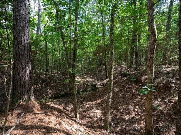 United States Hwy #190-E, Woodville, TX 75979