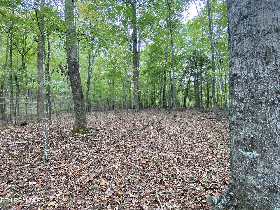 1st image of Hiwassee View Dr