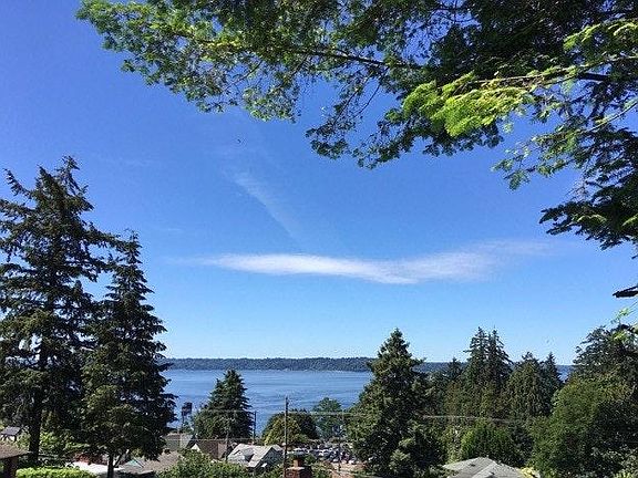 There is a bald eagle in the sky