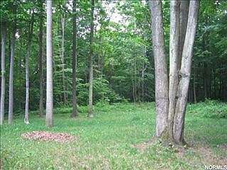 2nd image of 5304 Wildwoods Dr