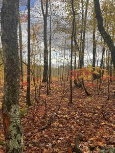 Obenhoff Rd, Atlantic Mine, MI, 49905