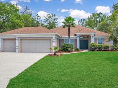 9699 N Langdon Rd, Citrus Springs, FL, 34434