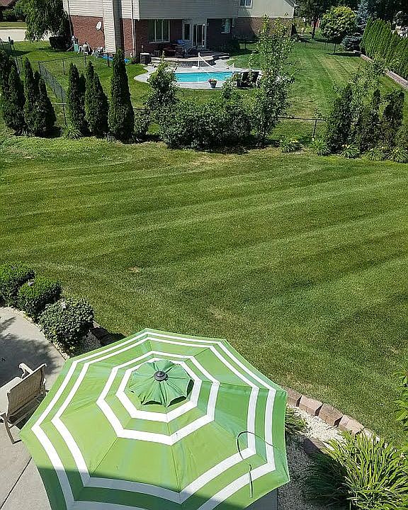 2nd image of 36775 Saint Clair Dr