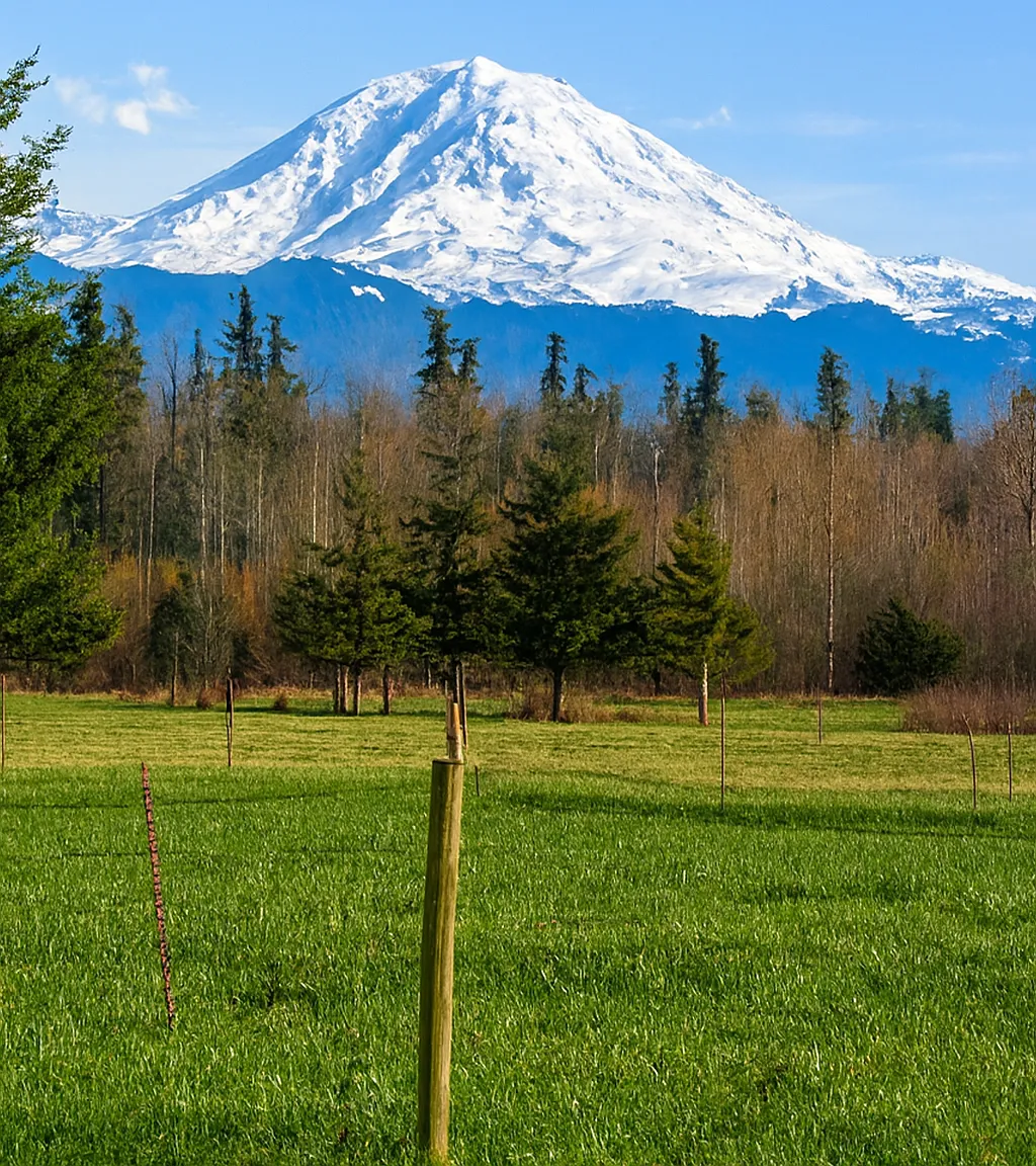 SE 424th St, Enumclaw — Photo 4