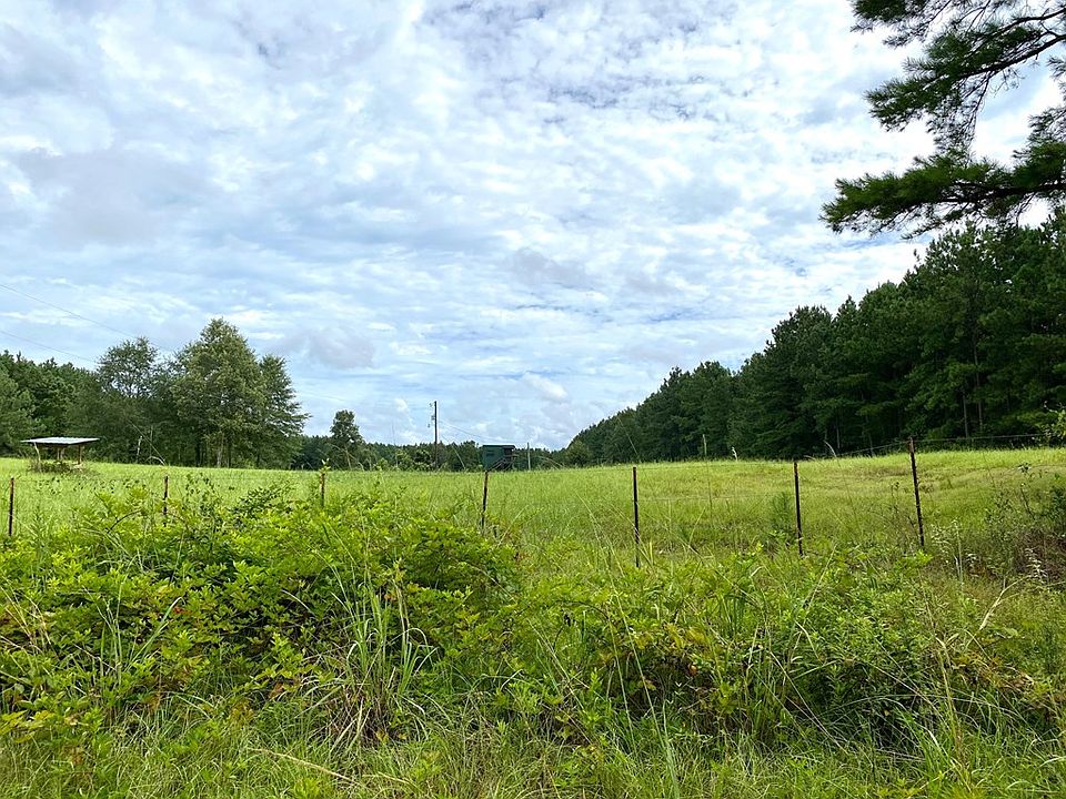 2nd image of 1005 Coons Mill Rd