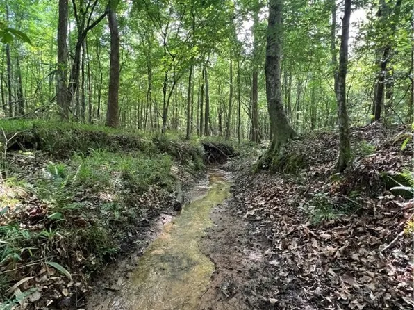 0 County Road 183, Marion, AL 36756