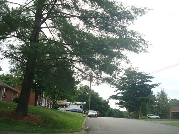4th image of 401 Jessie Dr