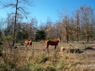 1280 Wallace Loop, Ravenden Springs, AR 72460