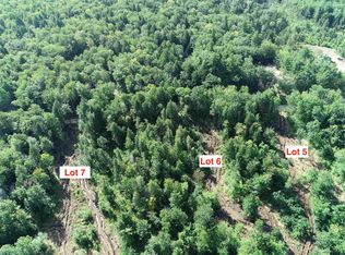 63-11-7 Ossipee Mountain Rd #63/11-7, Ossipee, NH 03864