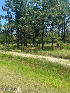 Lot C Shaver Lane, Jackson Springs, NC, 27281