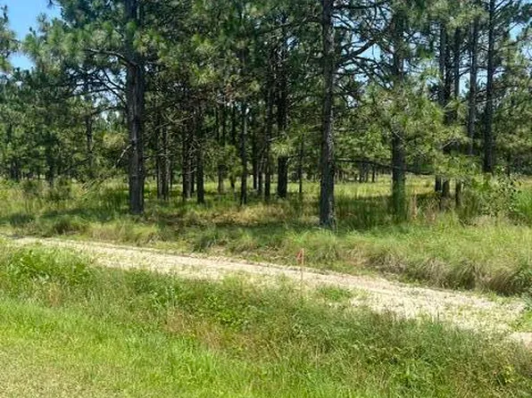 Lot C Shaver Lane, Jackson Springs, NC 27281