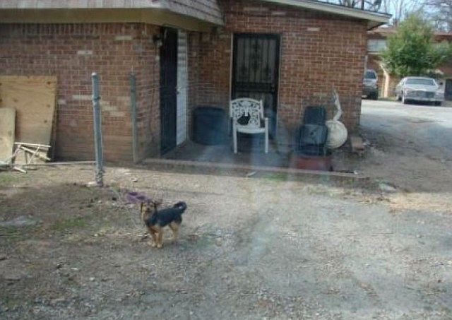 2nd image of 309 78th St S