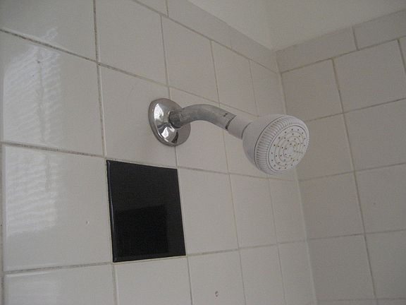 5th image of 1630 N Whipple St #1