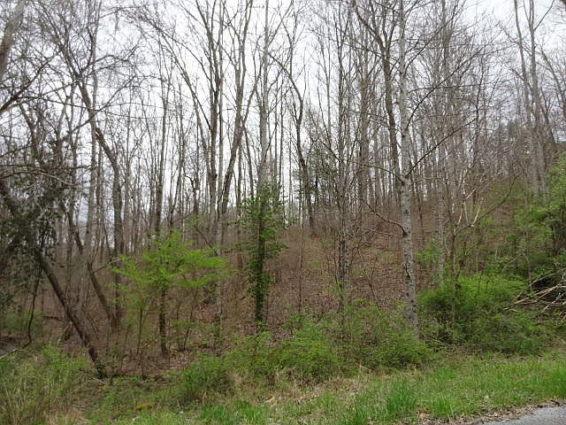 1st image of Ottoma Dr