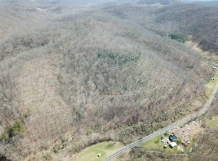 3816 Wilsie Rd, Frametown, WV 26623
