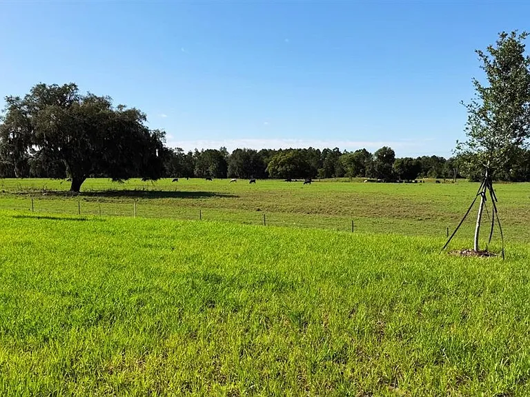 2831 Pioneer Trl — Photo 19