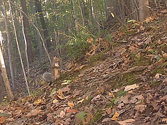 4th image of 0 Rocky Hill Rd