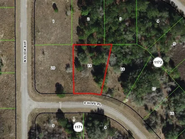 573 E Hope Pl, Citrus Springs, FL 34434