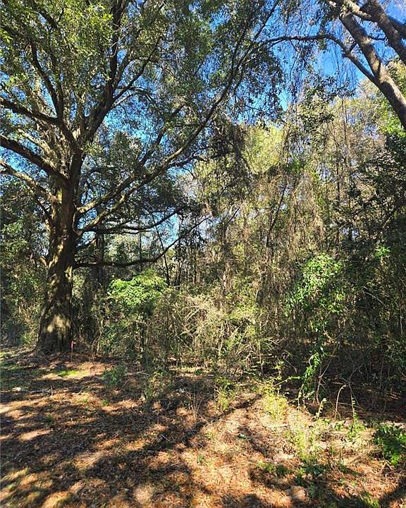 1st image of 10086 Old Highway 43