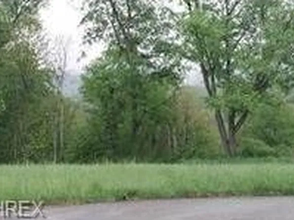 48515 Laredo Dr, Negley, OH 44441