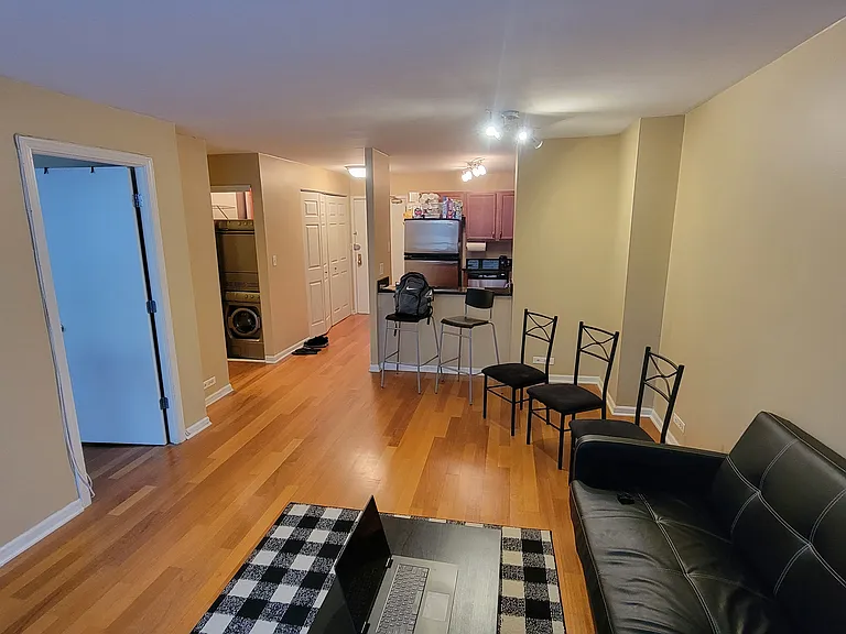 222 E Pearson St #1407 — Photo 14