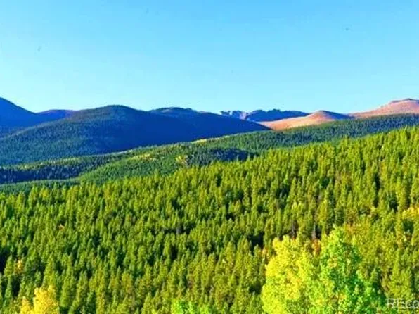 111 Swift Claim Road, Georgetown, CO 80444