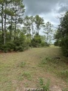 6428 County Road 448, Navasota, TX, 77868