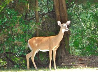 160 Palmetto Pointe Ln, Edisto Island, SC 29438