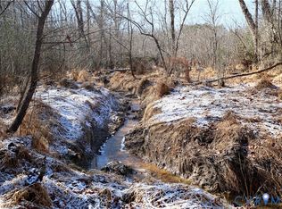 0 Beaver Acres Ln LOT 13, Buffalo Junction, VA 24529