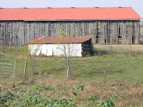 4th image of 12998 Percival Rd