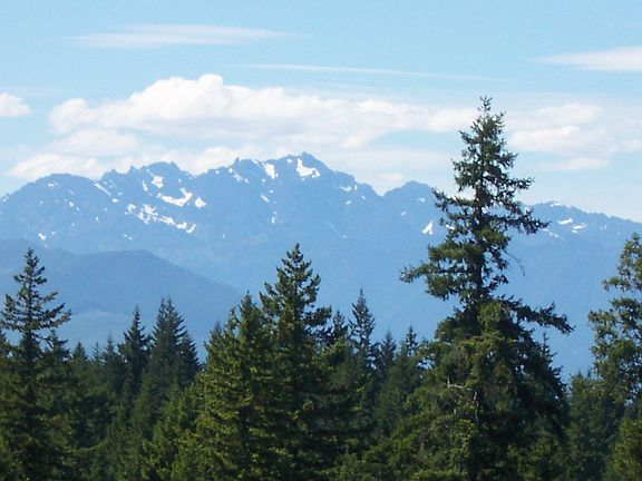 Stunning View of Olympic MTNS