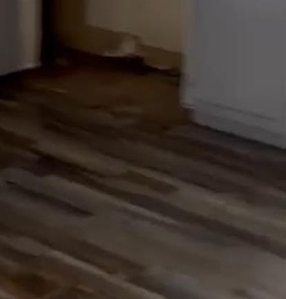 5th image of 2512 Fairview Rd