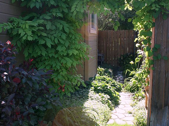 Side Yard View