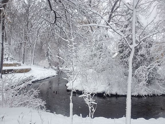 Creek in winter
