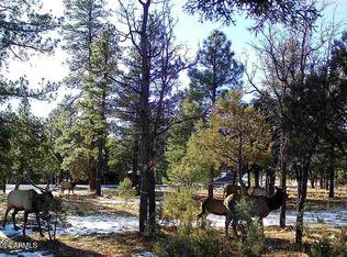 4871 Bald Eagle Way #8, Happy Jack, AZ 86024