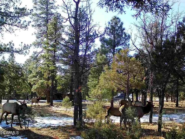 4871 BALD EAGLE Way #8, Happy Jack, AZ 86024