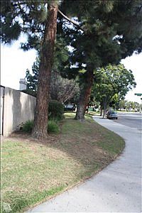 2nd image of 4988 Teton Ln