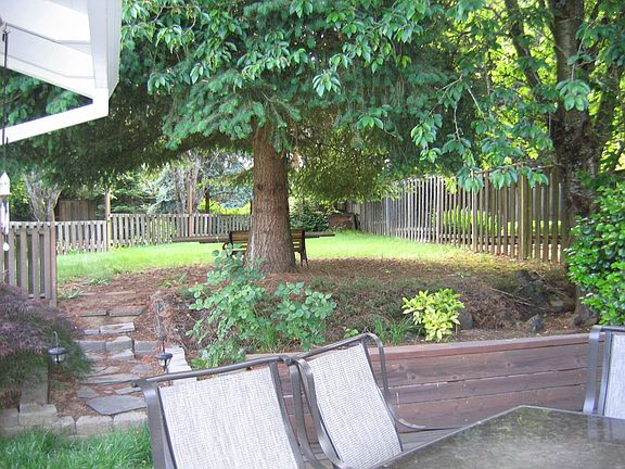 Large backyard NW lawn