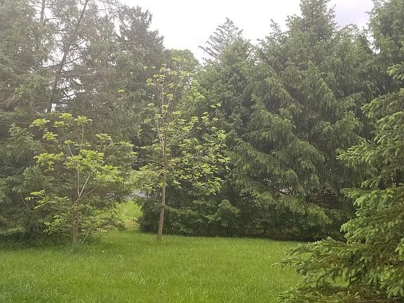 4th image of 85 E Cuyuga Dr