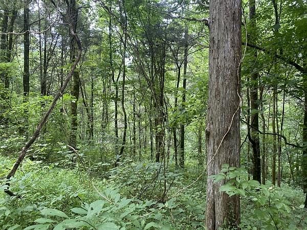 1st image of 0 Eagle Ridge Ln Lot 35