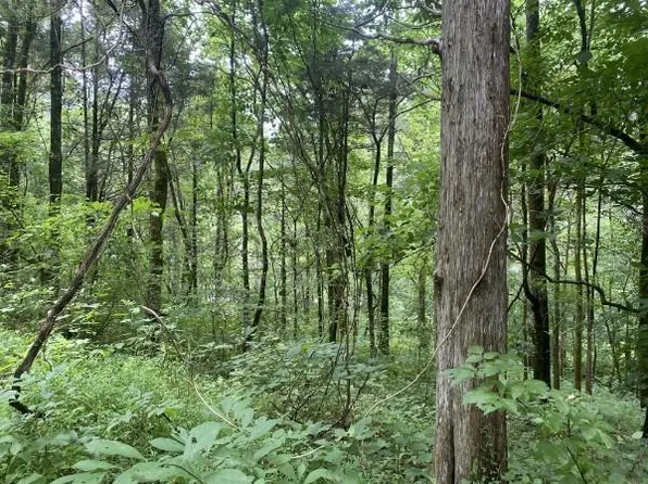 0 Eagle Ridge Ln Lot 34, Granville, TN 38564